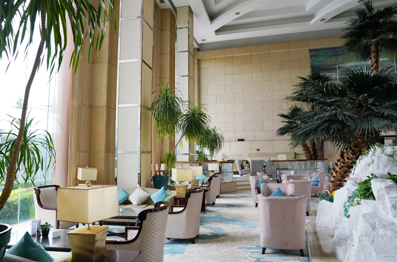 春日上新 棕榈苑大堂吧春茶春饮,如约而至-最美食